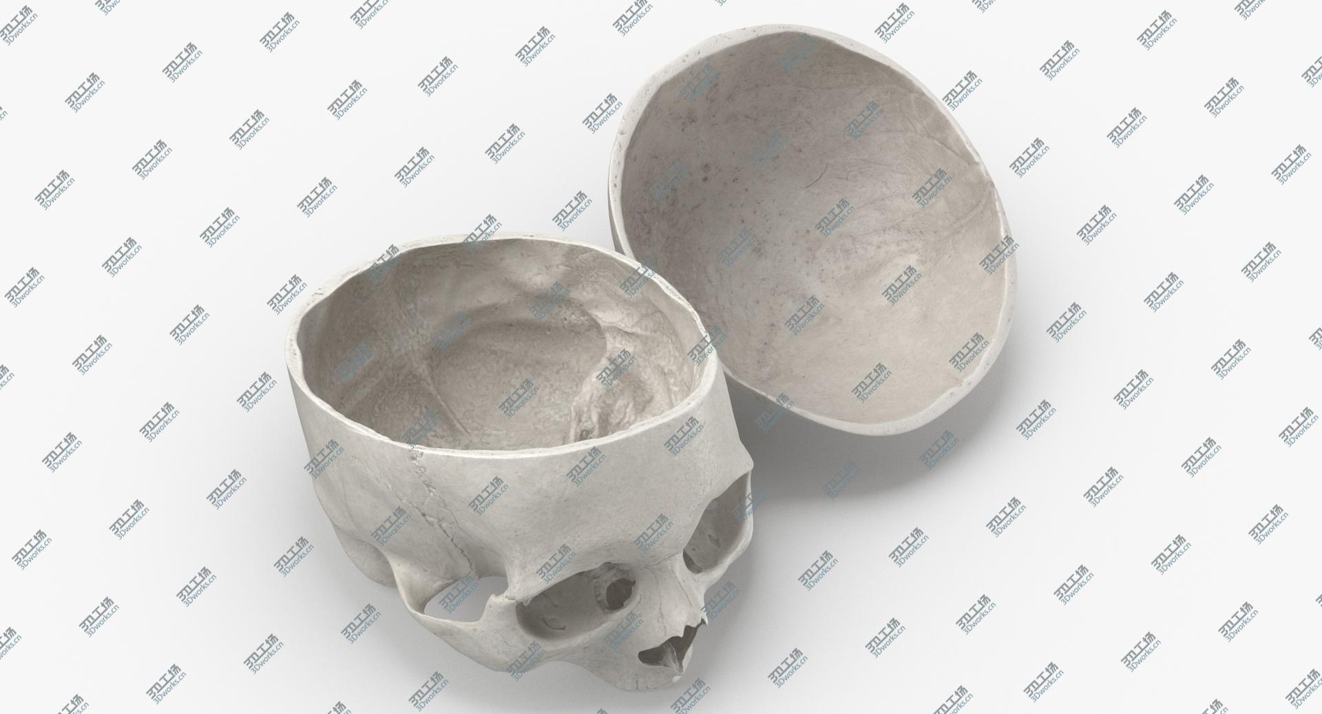 images/goods_img/202104091/Real Human Skull Cranial 02 Cut With Piece White Pose 03 3D model/1.jpg